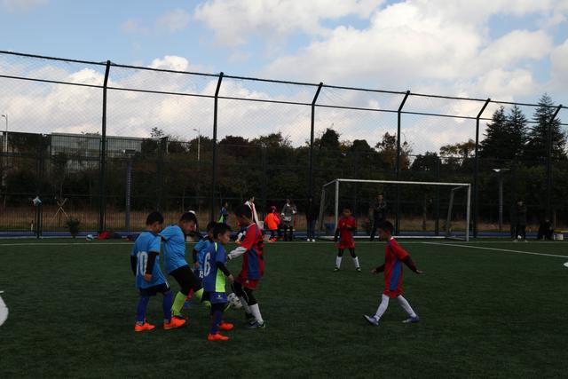 2026十堰马拉松鸣枪开跑 上万跑者领略“山水车城”